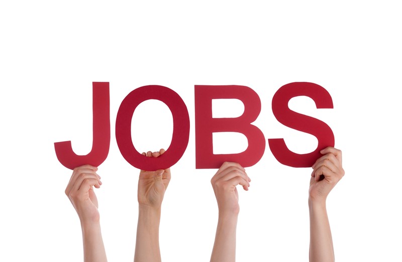 Seven million people started new jobs in 2025